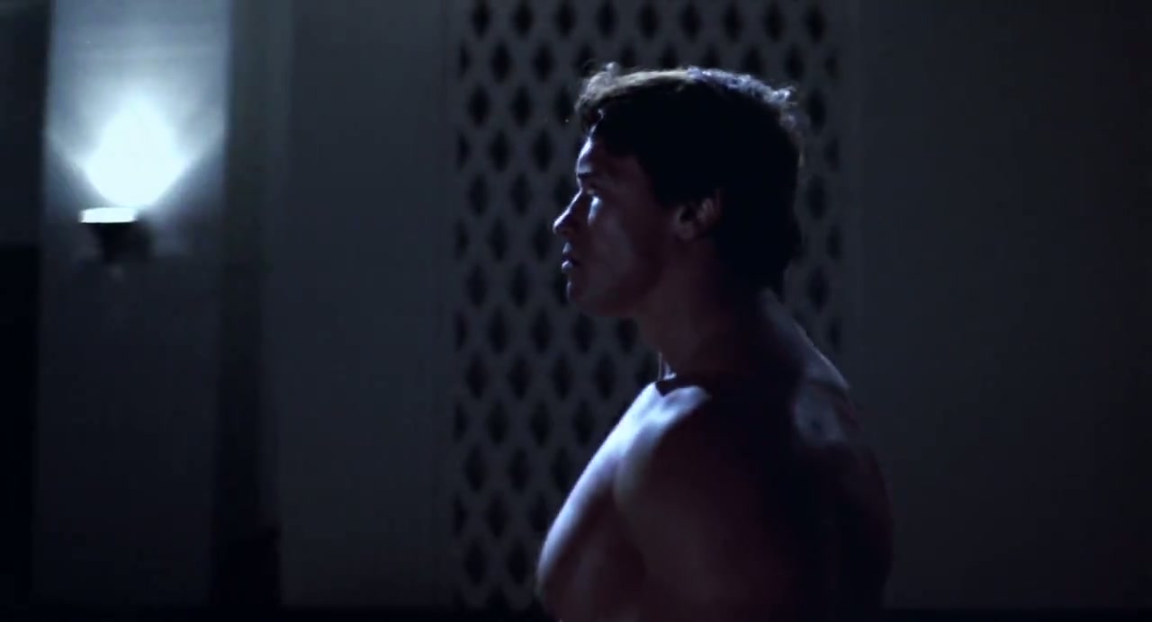 The Terminator Screenshot