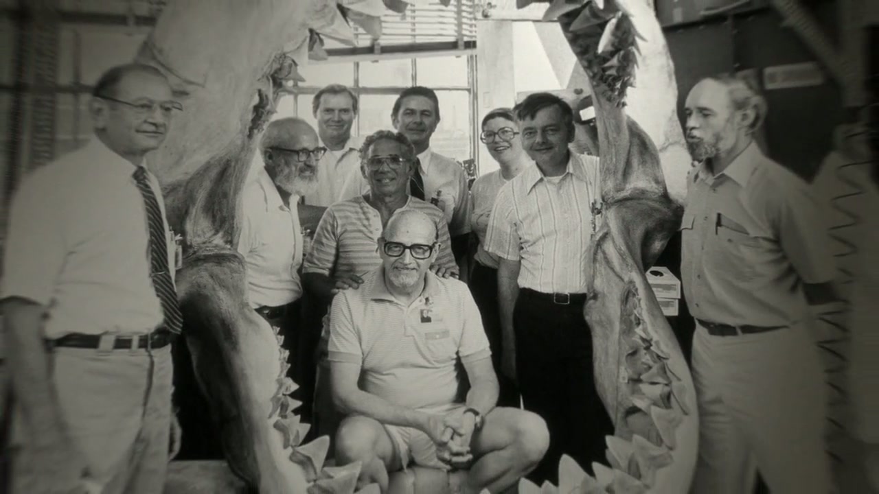 Sharksploitation Screenshot