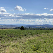 IMG-2527