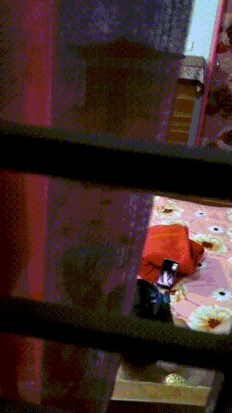 [Image: Caught-2-Conv-Gif.gif]