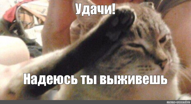 d4ac4ef8edf4ff9b7a5ab73364214db2.jpg