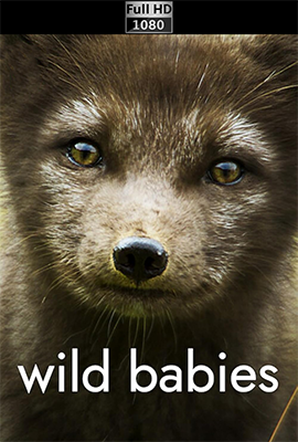 Cuccioli nella natura - Stagione 1 (2022) [Completa] WEB-DL 1080p E-AC3 ITA ENG SUBS