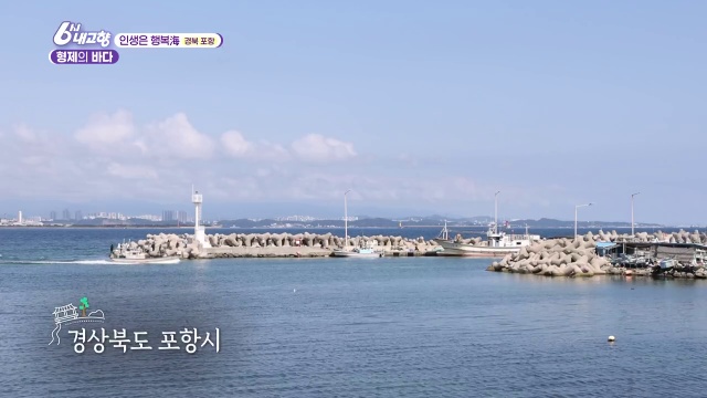 6시내고향 인생은 행복해 포항 형제의 바다 게스트하우스 캡처