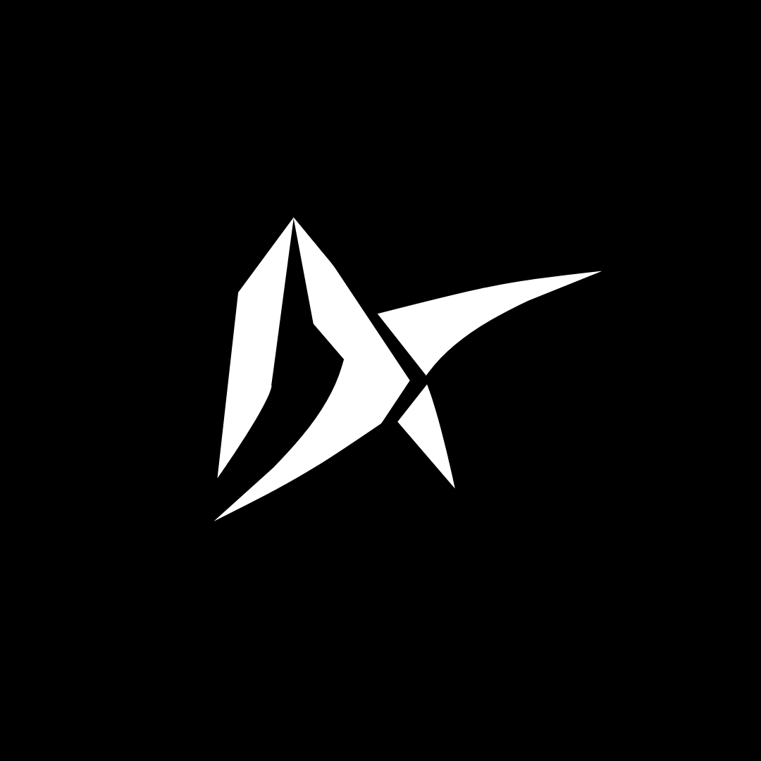 DX2 Logo