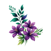 49ab0d399fb5ba9e3d056142edfac4e0