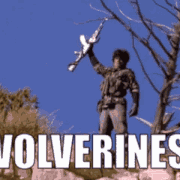 red dawn wolverines.gif
