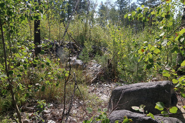 IMG 0463.jpg