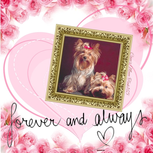 Forever
