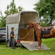 BSF2461