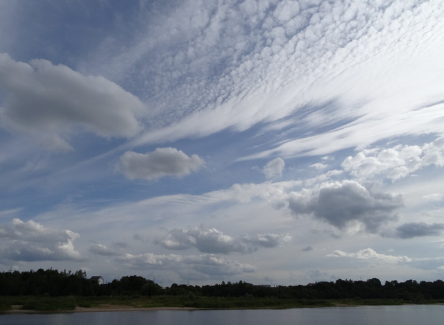 DSC06482-5.jpg