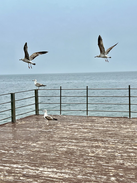 ars longa vita brevis 3 fotoğrafı