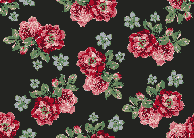 shutterstock 2042431790.gif