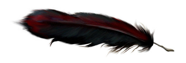 3.png