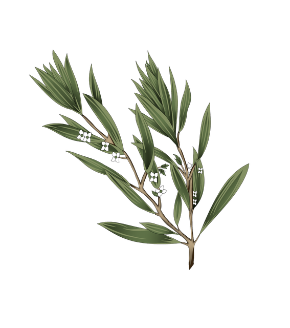 a3165d08376fbc30d96cafb0e0a666e1.png