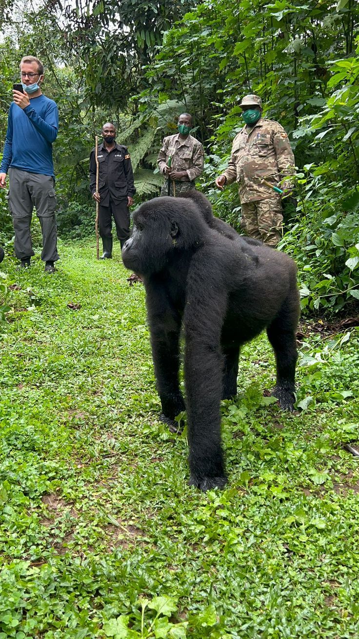 Uganda destinations