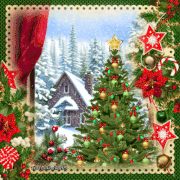 12.gif