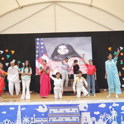 IMG 8184