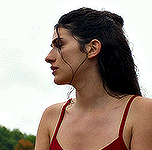 31Untitled 7.gif