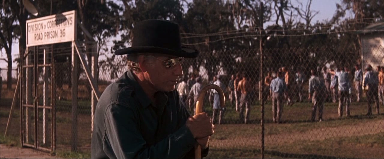 Cool Hand Luke Screenshot