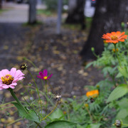 DSC7039