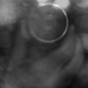 DSC00360