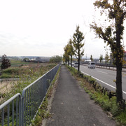 2010-11-20-016