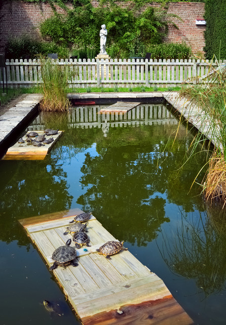 DSCF4199.jpg