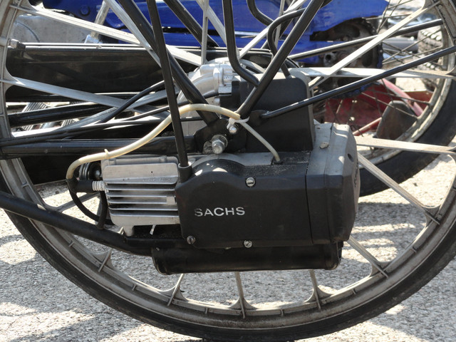 Sahs1