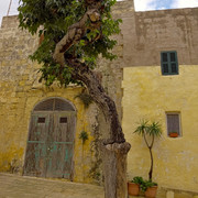 IMGP3754