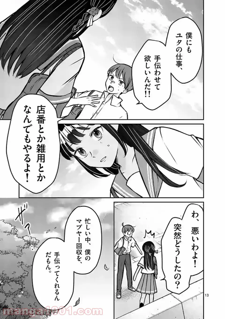DLRAW-NET-013