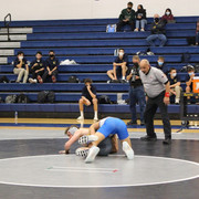 IMG-0390