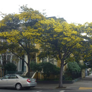 P1090769