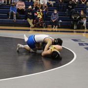 IMG-0295