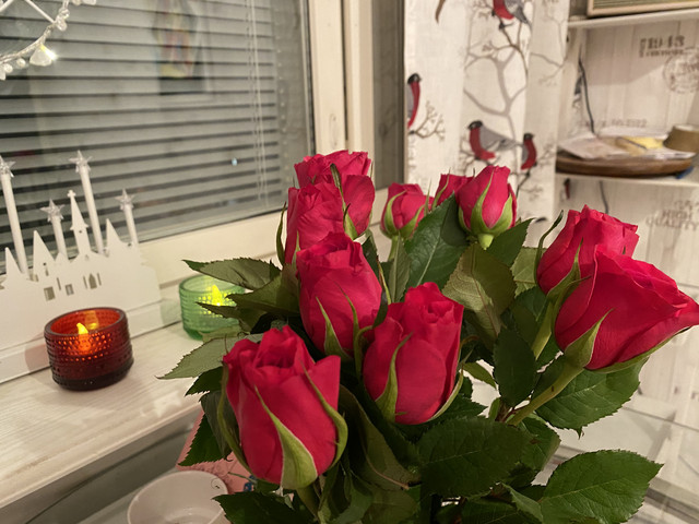 11410-ED9-C66-B-400-D-BEB4-65654-CFA7677