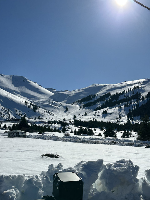 IMG-3757.jpg