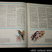 IMG-3576