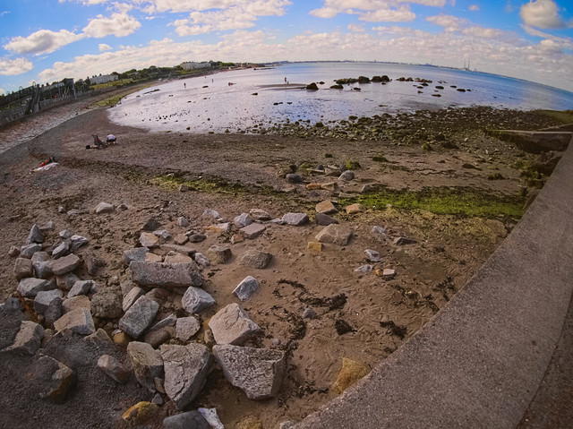 P1010896.jpg