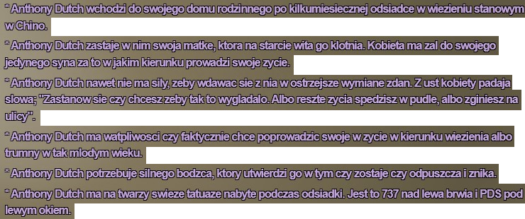 ss1.png