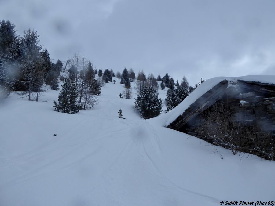 IMG-E4373.jpg