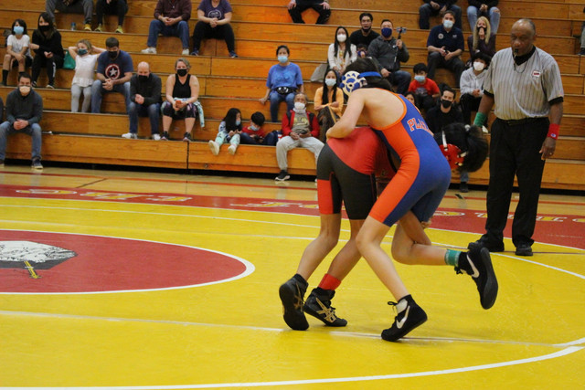 IMG-0059