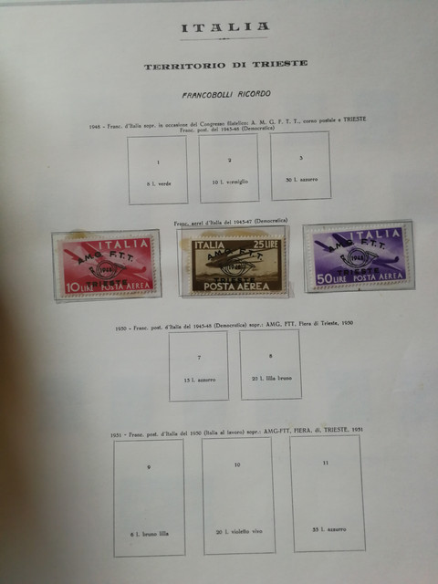 IMG-20200813-080906.jpg