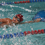 IMG-8000