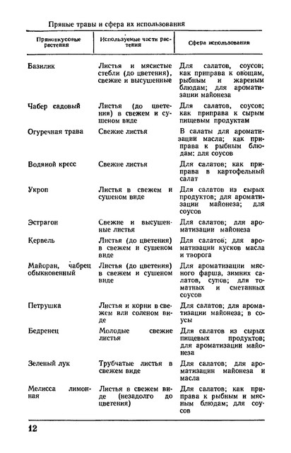 1981-13