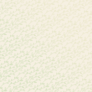 Vine BG