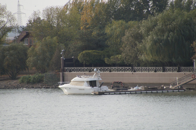 DSC08165.jpg