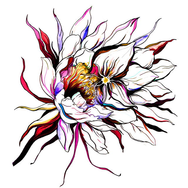 7ef15fc8175bef1a8f7c3e867db21300.png