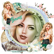 bams-tag-VMprincess