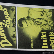 IMG-8992