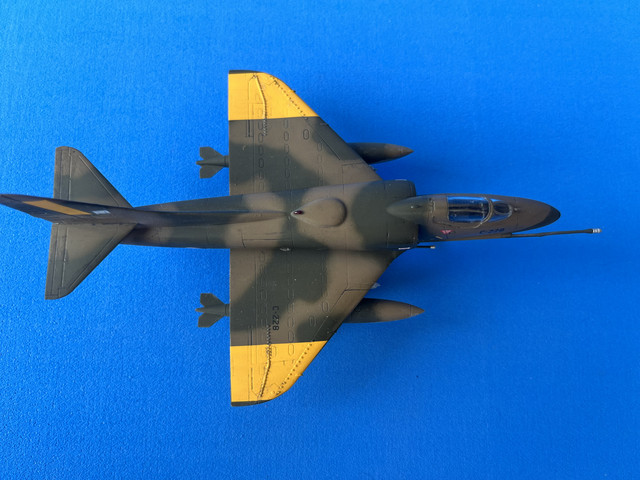 IMG-3531.jpg