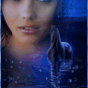 4.gif